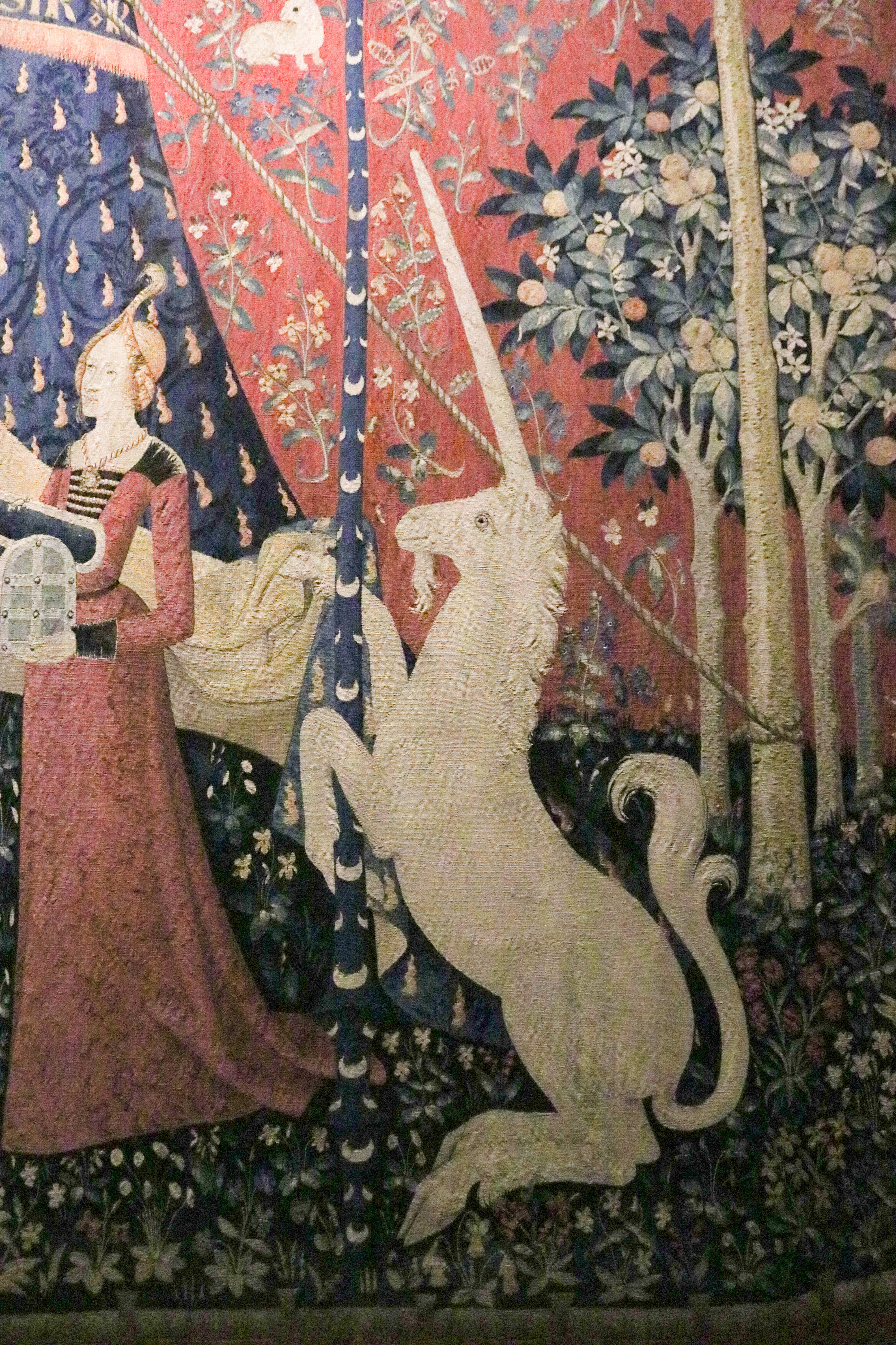 the Lady and the Unicorn