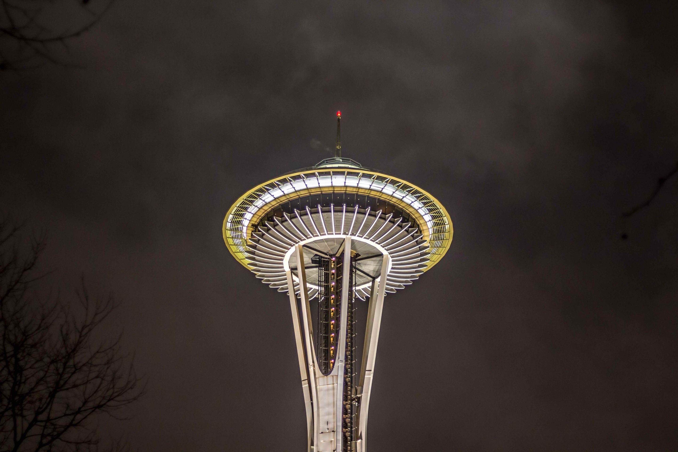 seattle space needle