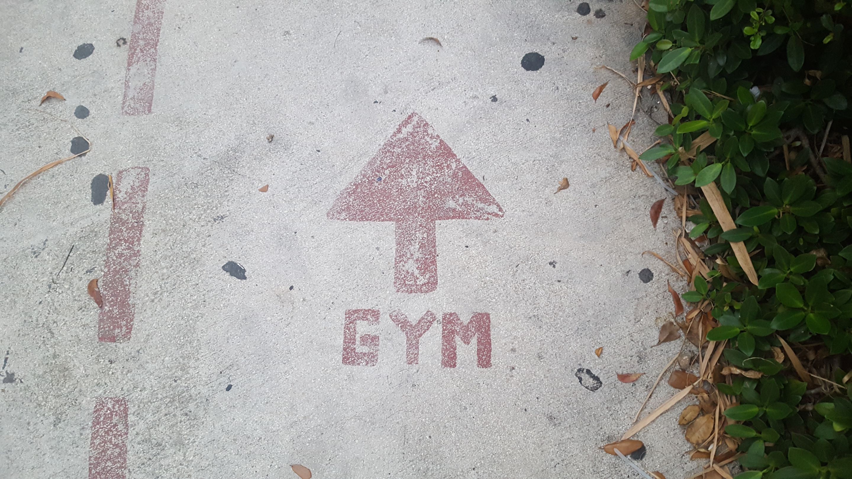 making workouts easier