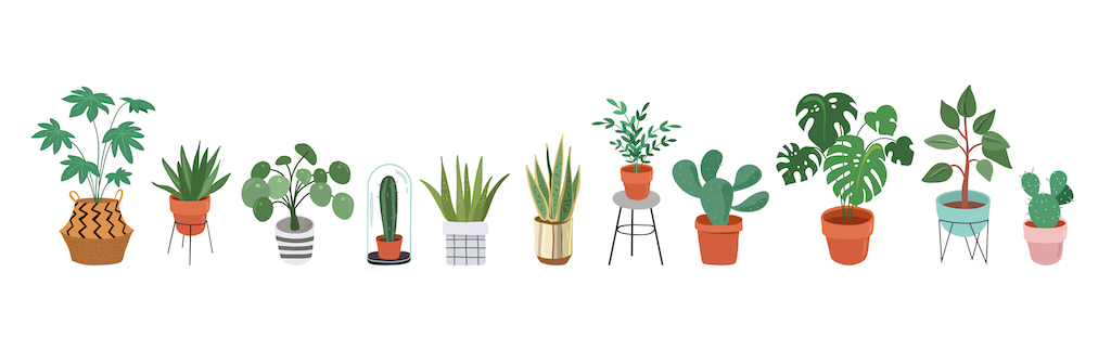 plant life